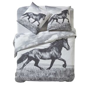 Blancheporte Posteľná bielizeň Prince s fotopotlačou koňa, bavlna sivá obliečka na vankúš 65x65cm